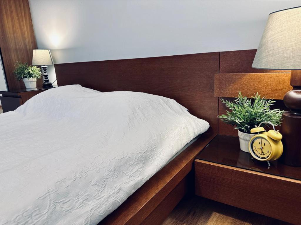 Apartament Przy Rynku Apartment Poznan